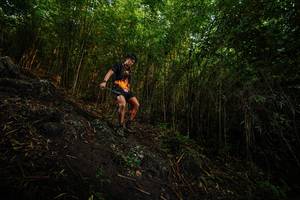 BIB: 
                            <button type="button" onclick="openModal(25098519)" class="btn btn-primary btn-sm float-right btn-popup" data-toggle="modal" data-target=".modal-high-quality">
                        <i class="fas fa-shopping-cart"></i> Add to Cart
                    </button>
                                            <button type="button" onclick="isThisMe(25098519, true)" class="btn btn-success btn-sm float-right btn-popup btn-isme hidden" data-toggle="tooltip" data-placement="bottom" title="นี่คือรูปของคุณใช่ไหม คลิกที่นี่เพื่อเอาเข้าอัลบั้ม">
                        <i class="fas fa-plus"></i> Add to album
                    </button>
                    <button type="button" onclick="isThisMe(25098519, false)" class="btn btn-warning btn-sm float-right btn-popup btn-isnotme hidden">
                        <i class="fas fa-ban"></i> Remove from album
                    </button>